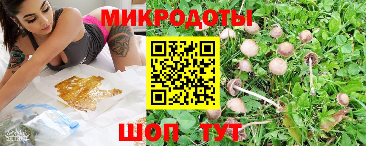 Галлюциногенные грибы Psilocybe  как найти закладки  Севастополь  Вход с VPN  Псилоцибиновые грибы MAGIC MUSHROOMS 